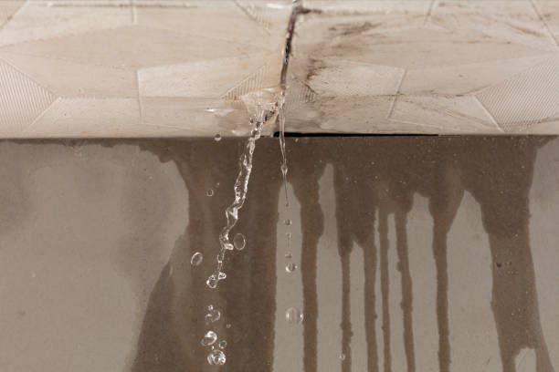 Professional Structural Drying technician working in Saxonburg, PA
